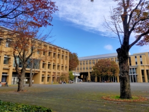 Thumbnail of post image 005